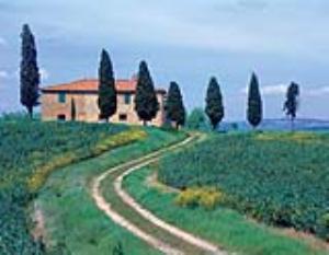 83-tuscany-landscape-2.jpg